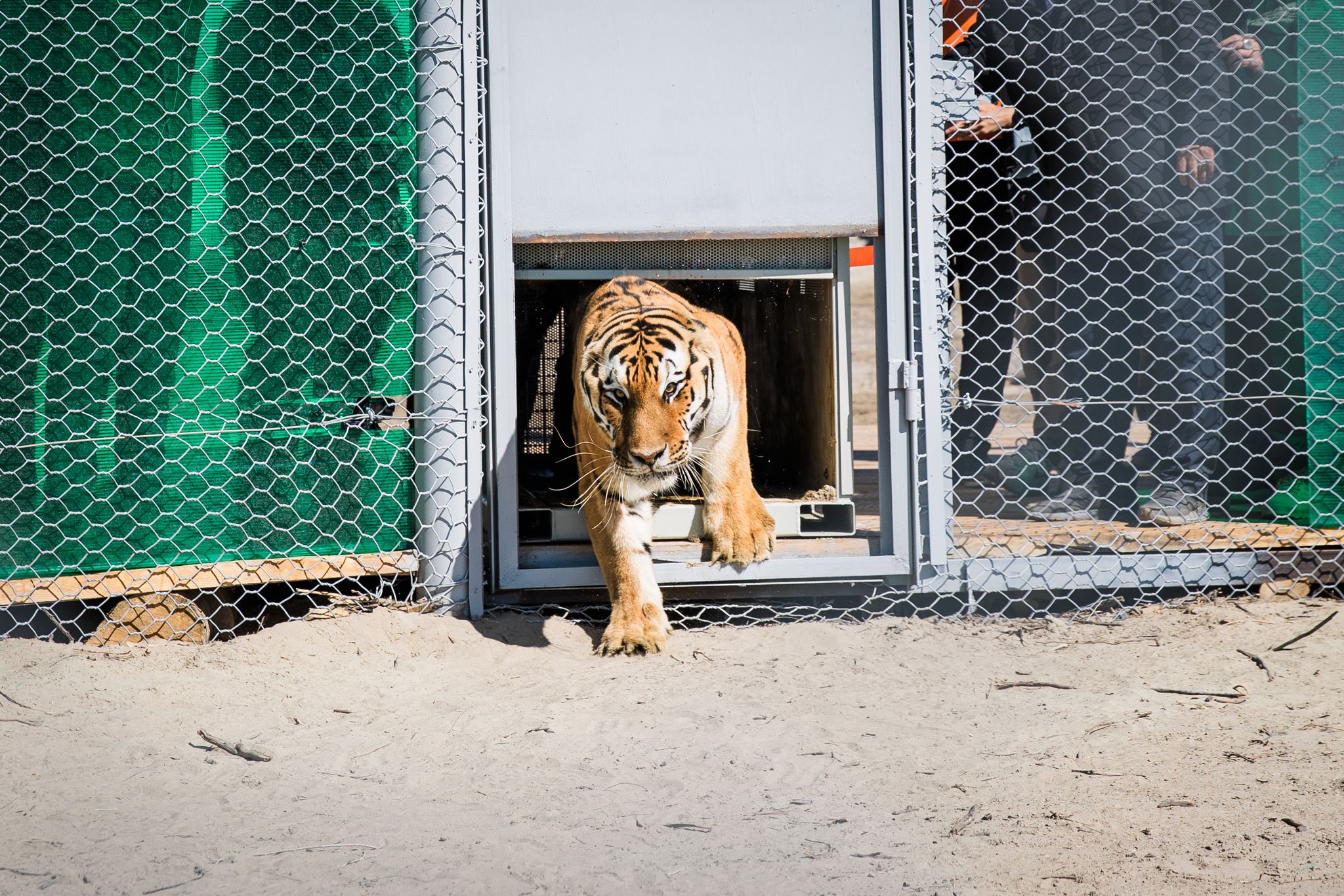 Фото: Всемирный фонд дикой природы (WWF)