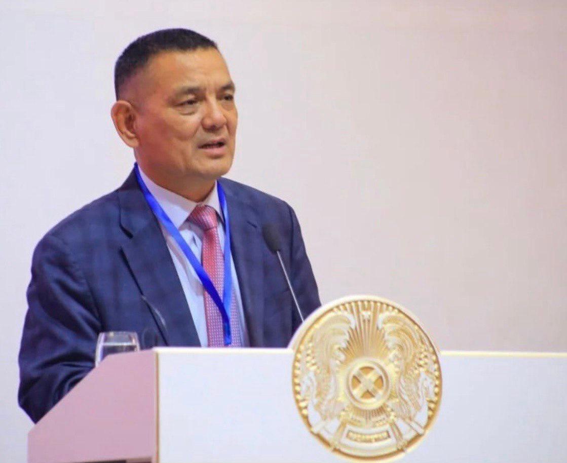 WhatsApp Image 2025-05-17 at 12.17.31.jpeg