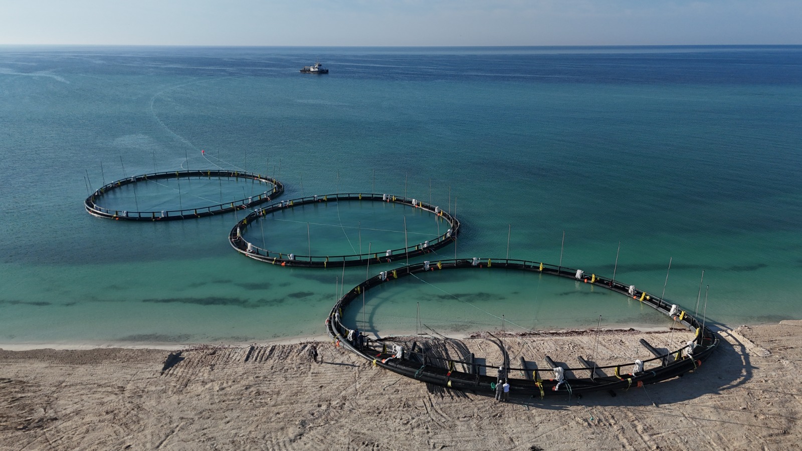 1757068187285909.jpeg 1757068187285909.jpeg