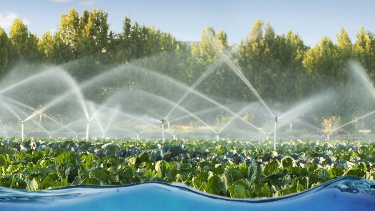 1757406253352685.jpg 1757406253352685.jpg