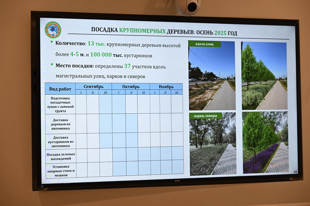 1758289900414955.jpeg WhatsApp Image 2025-09-19 at 17.33.54.jpeg