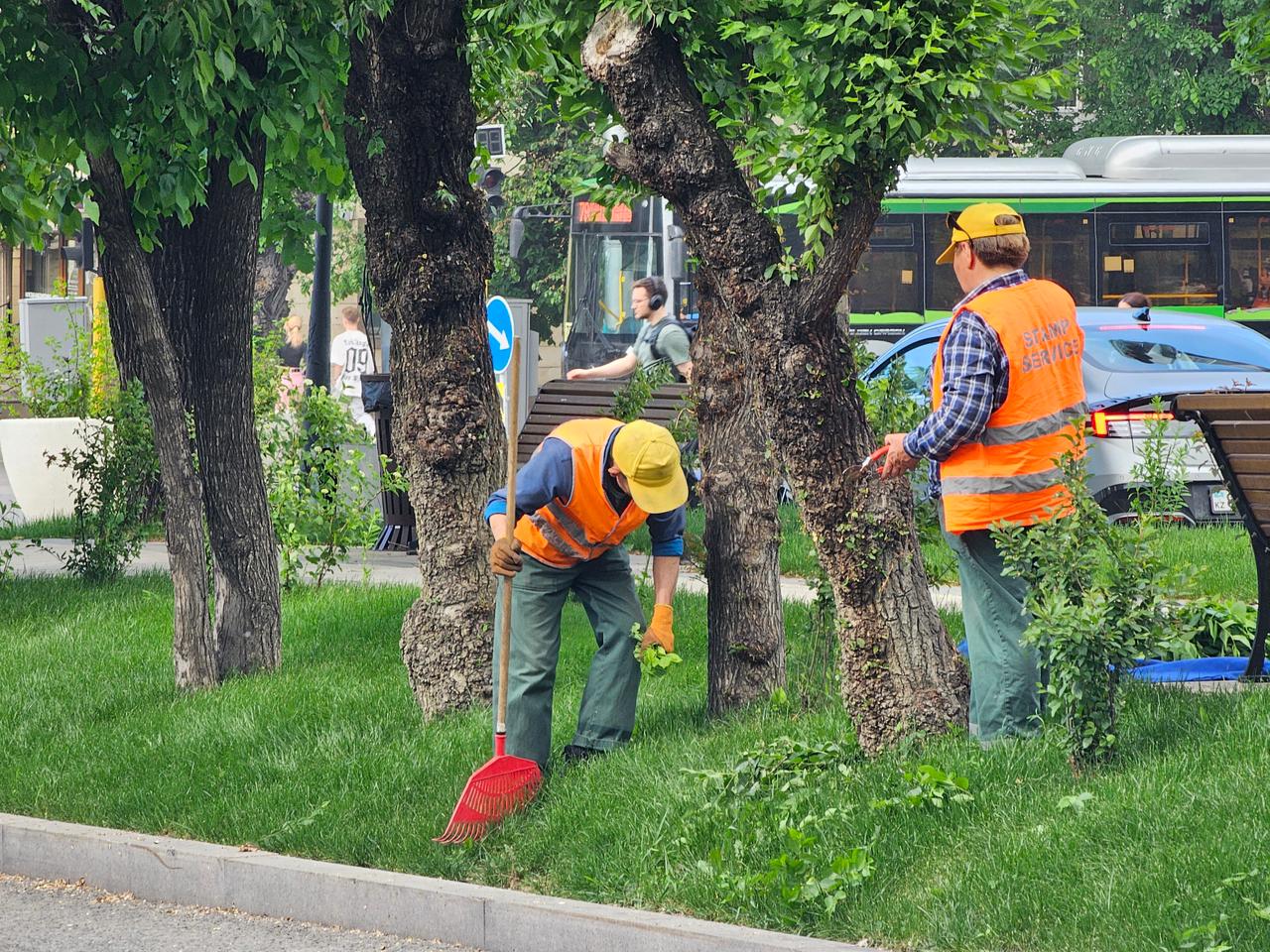 1758289909486080.jpeg WhatsApp Image 2025-09-19 at 17.33.54 (3).jpeg