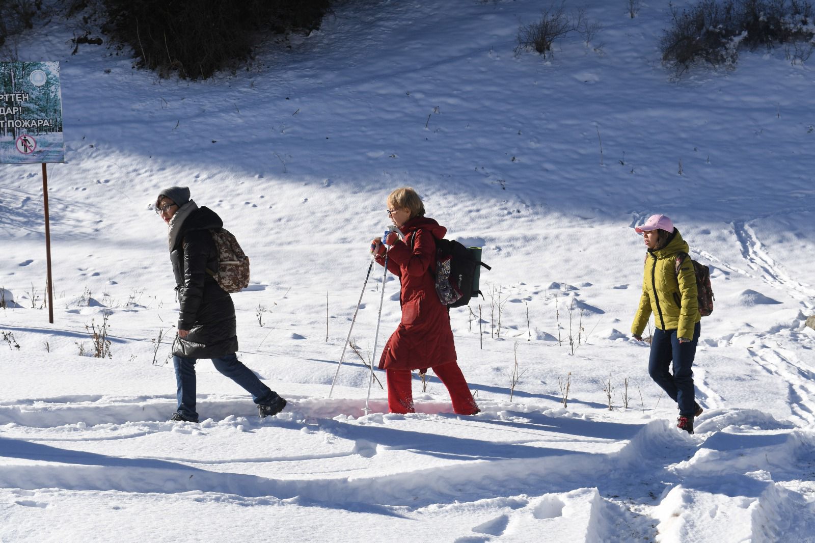 WhatsApp Image 2025-11-12 at 16.11.06.jpeg