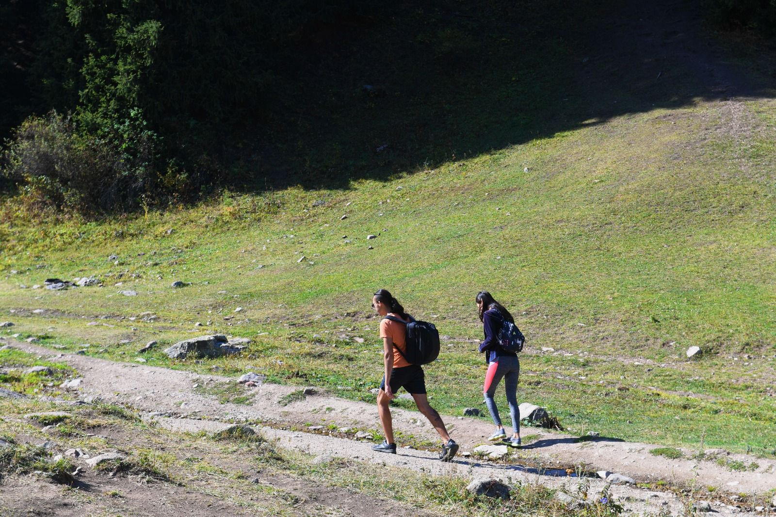 WhatsApp Image 2025-11-12 at 16.11.07.jpeg