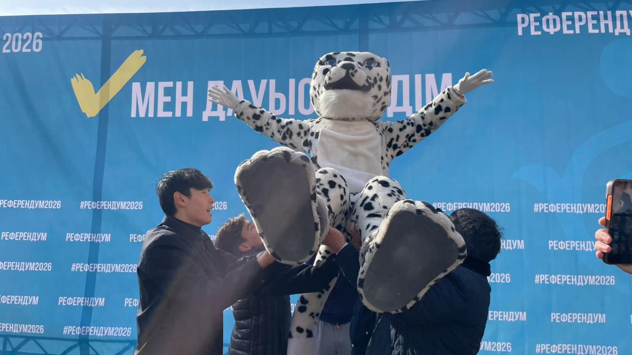 1773556148618314.jpeg 1773556148618314.jpeg