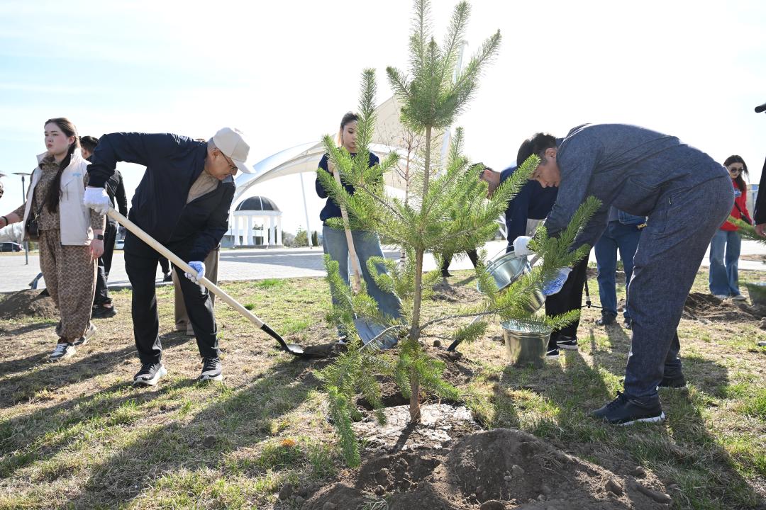 «Таза Қазақстан»: Жетісу облысында жалпыоблыстық сенбілік аясында 8 мың ағаш егілді