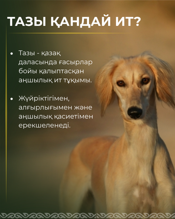 bf5e2623c0f8a435a1a2af2e80112b63_1280x720.png