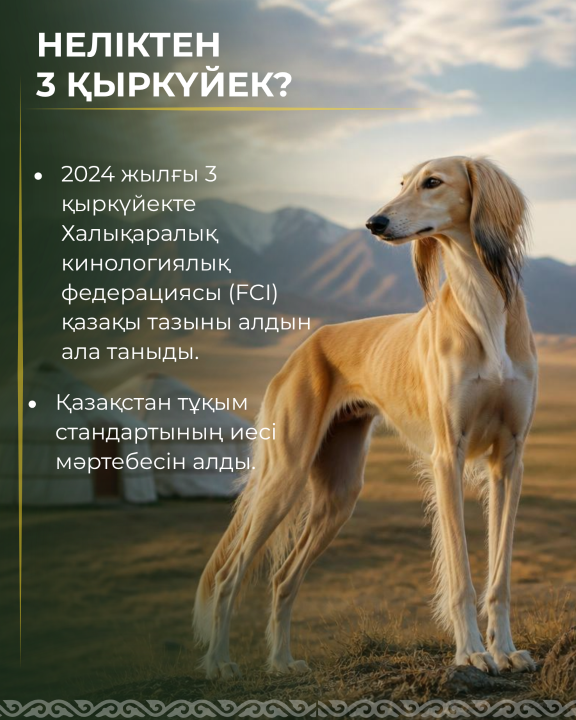 c21e9d5d807449883ac74c86ca9b87fa_1280x720.png